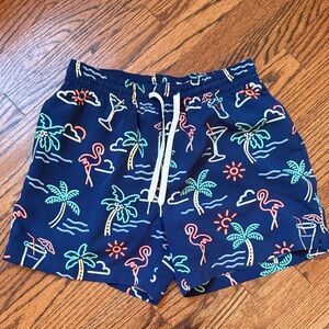 Chubbies Blue and Cream Mesh Shorts
